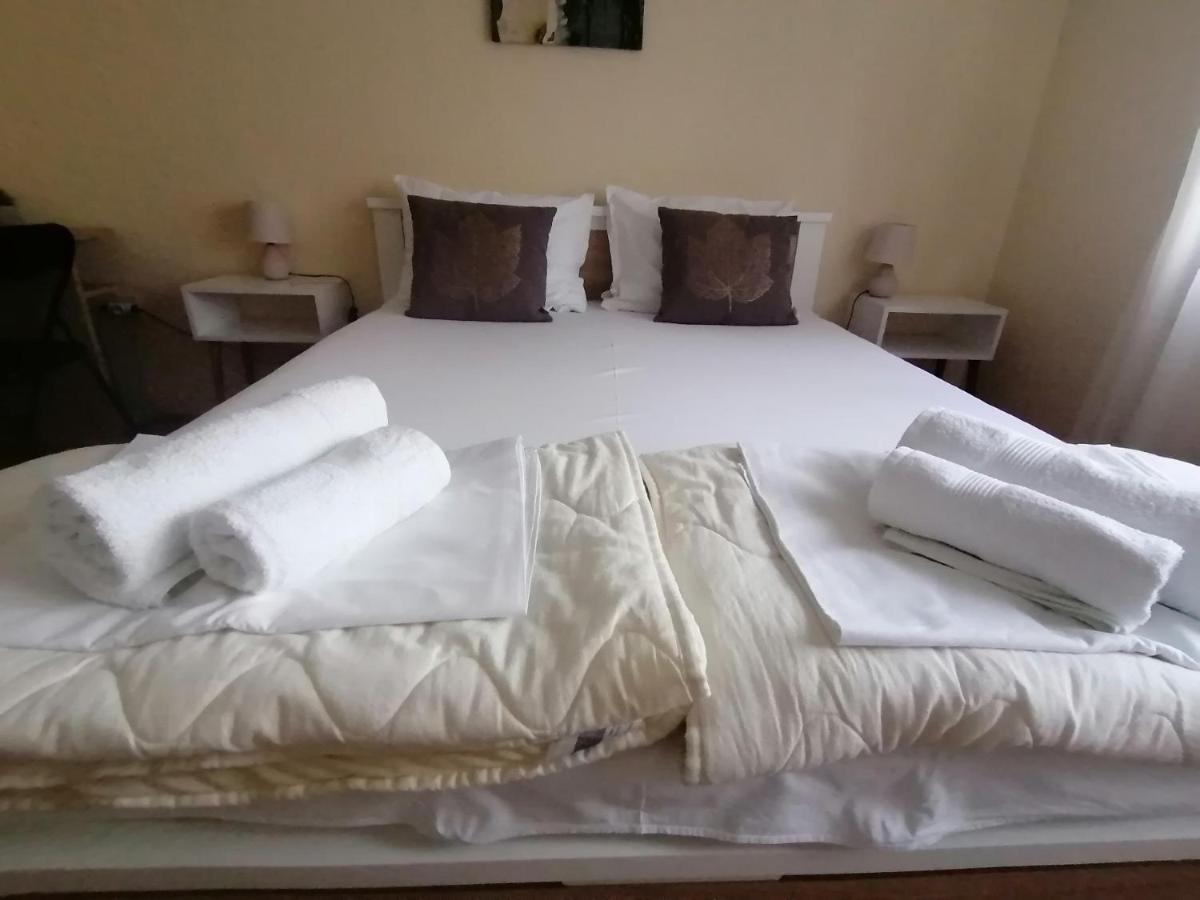 Haus Apartman Zajecar M&L Buitenkant foto